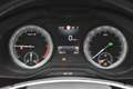 Skoda Kodiaq 2.0 TDI DSG Style 4x4 *7-Sitze*Leder*Navi Bleu - thumbnail 24