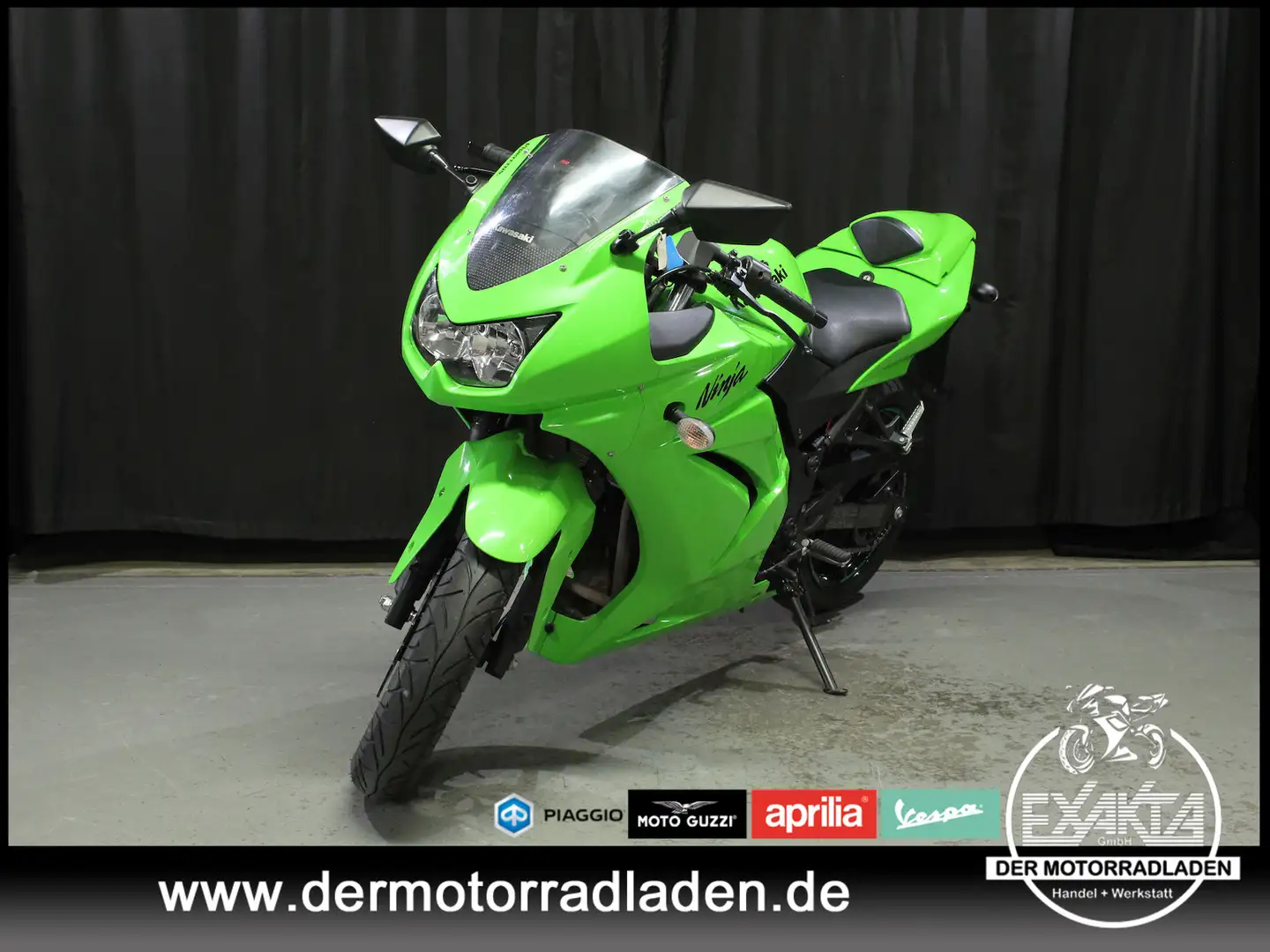 Kawasaki Ninja 250 R Ninja 250 R // AUSPUFF LEO-VINCE // Groen - 1