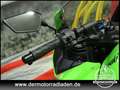 Kawasaki Ninja 250 R Ninja 250 R // AUSPUFF LEO-VINCE // Groen - thumbnail 16
