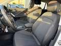 Audi Q2 35 TFSI S tronic SHZ PDC AHK LM16 Wit - thumbnail 9