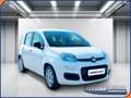 Fiat Panda Panda 1.0 FireFly S&S Hybrid - PADOVA Blanco - thumbnail 1