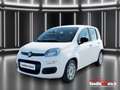 Fiat Panda Panda 1.0 FireFly S&S Hybrid - PADOVA Blanco - thumbnail 4
