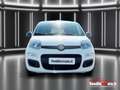 Fiat Panda Panda 1.0 FireFly S&S Hybrid - PADOVA Blanco - thumbnail 3