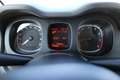 Fiat Panda Panda 1.0 FireFly S&S Hybrid - PADOVA Blanco - thumbnail 6