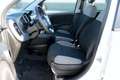 Fiat Panda Panda 1.0 FireFly S&S Hybrid - PADOVA Blanco - thumbnail 10