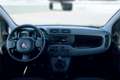 Fiat Panda Panda 1.0 FireFly S&S Hybrid - PADOVA Blanco - thumbnail 9