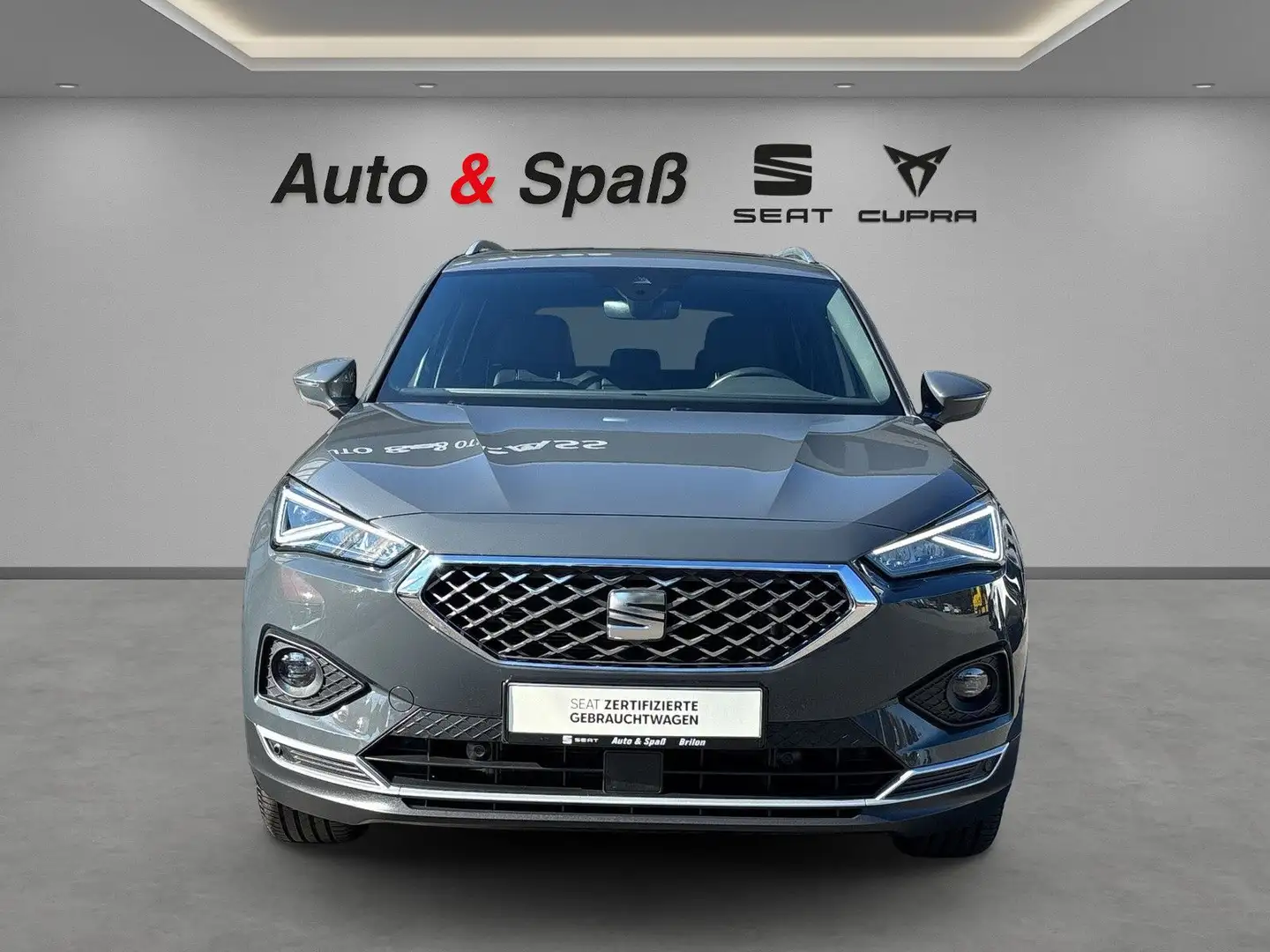SEAT Tarraco Xcellence Beats /Rkf / Sitzh. V+H Grau - 2