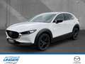 Mazda CX-30 2.5 GS Homura HUD Kamera Navi CarPlay LED Weiß - thumbnail 1