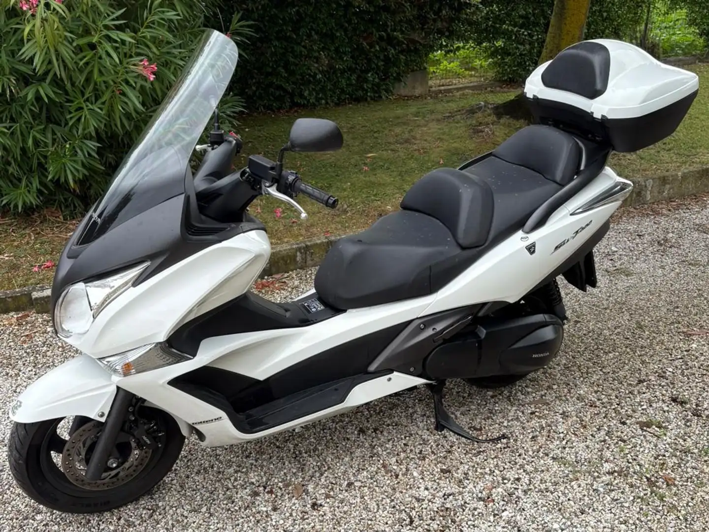 Honda SW-T 400 Fehér - 1