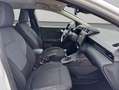 Ford Puma 1.0 EcoBoost Hybrid TITANIUM 92 kW, 5-türig Bianco - thumbnail 14