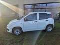 Fiat Panda Panda 1.0 firefly hybrid POP VAN Blanc - thumbnail 8