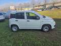 Fiat Panda Panda 1.0 firefly hybrid POP VAN Blanc - thumbnail 7