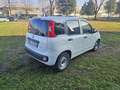 Fiat Panda Panda 1.0 firefly hybrid POP VAN Blanc - thumbnail 6