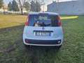 Fiat Panda Panda 1.0 firefly hybrid POP VAN Blanc - thumbnail 5