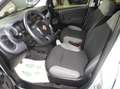 Fiat Panda Panda 1.0 firefly hybrid s Grigio - thumbnail 9