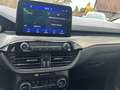 Ford Kuga 2,0 EcoBlue AWD Titanium Aut.*TOP AUSSTATTUNG* Schwarz - thumbnail 10