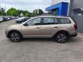 Dacia Logan Stepway Navi/Kam/Bluetooth/Tempo Beige - thumbnail 2