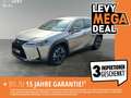 Lexus UX 250h Style Edition *KAMERA*LSS*BSM*CARPLAY&AA* Сірий - thumbnail 1