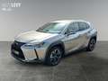 Lexus UX 250h Style Edition *KAMERA*LSS*BSM*CARPLAY&AA* Сірий - thumbnail 2