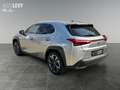Lexus UX 250h Style Edition *KAMERA*LSS*BSM*CARPLAY&AA* Сірий - thumbnail 4