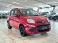 Fiat Panda Pop*KLIMA*EFH+AHK+ Rouge - thumbnail 3
