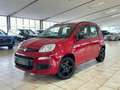 Fiat Panda Pop*KLIMA*EFH+AHK+ Rouge - thumbnail 1