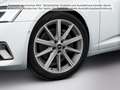 Audi A6 Sport advanced 45 TFSI S tr. Weiß - thumbnail 11