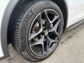 Alfa Romeo Stelvio 2,2 160 Business RWD, AHK, 8x bereift Weiß - thumbnail 14