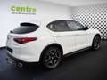 Alfa Romeo Stelvio 2,2 160 Business RWD, AHK, 8x bereift Weiß - thumbnail 6