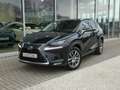 Lexus NX 300h Hybrid AWD Executive Line +LEDER +TREKHAAK Noir - thumbnail 2