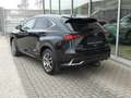 Lexus NX 300h Hybrid AWD Executive Line +LEDER +TREKHAAK Noir - thumbnail 8