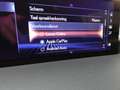Lexus NX 300h Hybrid AWD Executive Line +LEDER +TREKHAAK Noir - thumbnail 19