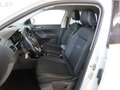 Volkswagen T-Cross 1.0 TSI 115 CV First Edition Bianco - thumbnail 10