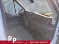 Ford Transit FORD PRITSCHE 350 DK L3H1/AHK/SOFORT!!! Blanc - thumbnail 21