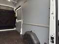 Ford Transit Kasten Trend 350L3H3 *EXPRESS-LINE-PAKET* Blanc - thumbnail 21