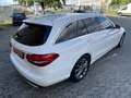 Mercedes-Benz C 200 T BlueTec/d Avantgarde 2.Hand Weiss Voll Led Leder Weiß - thumbnail 16