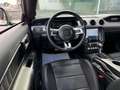 Ford Mustang 5.0 V8 GT 450CV ACC CAMERA CARPLAY 1ERE MAIN Зелёный - thumbnail 14