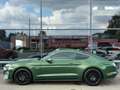 Ford Mustang 5.0 V8 GT 450CV ACC CAMERA CARPLAY 1ERE MAIN Зелёный - thumbnail 5