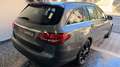 Mercedes-Benz C 220 Estate 220d 7G Plus Grau - thumbnail 27