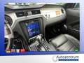 Ford Mustang 3.7 Coupe Unikat *21ZOLL*XENON*LEDER* Blau - thumbnail 11