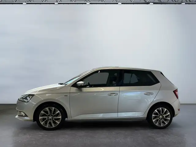 Skoda Fabia view 3