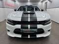Dodge Charger 6.4 SRT Scat Pack/Last Call/Dynamic Pack Blanco - thumbnail 3