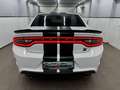 Dodge Charger 6.4 SRT Scat Pack/Last Call/Dynamic Pack Blanco - thumbnail 9