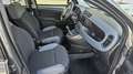 Fiat Panda TwinAir 85 4x4 Wild Grau - thumbnail 15