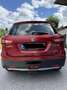 Suzuki SX4 S-Cross SX4 S-Cross 1,0 DITC 4WD shine shine Rot - thumbnail 3