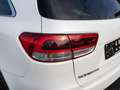 Kia Sorento Platinum Edition 4WD Bianco - thumbnail 19