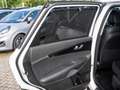 Kia Sorento Platinum Edition 4WD Bianco - thumbnail 18