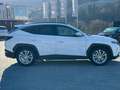 Hyundai TUCSON Prestige Line DCT 1,6 CRDI AWD 48V Weiß - thumbnail 7