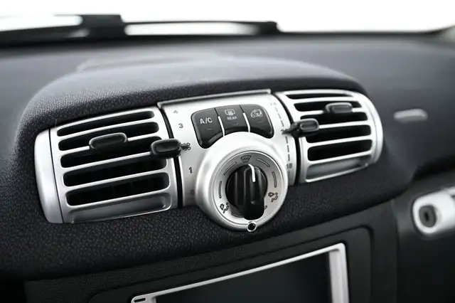 Smart Fortwo view 19