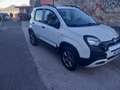 Fiat Panda Panda III 2016 1.3 mjt 16v City Cross s Blanc - thumbnail 3